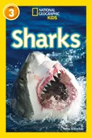 Žraloky - úroveň 3 - Sharks - Level 3