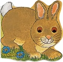 Vreckový zajačik - Pocket Bunny