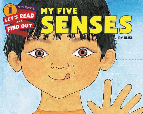 Mojich päť zmyslov - My Five Senses