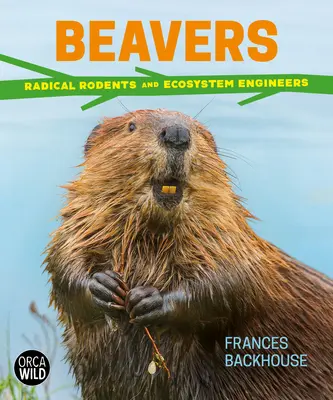 Bobríci: Radikálni hlodavci a inžinieri ekosystémov - Beavers: Radical Rodents and Ecosystem Engineers