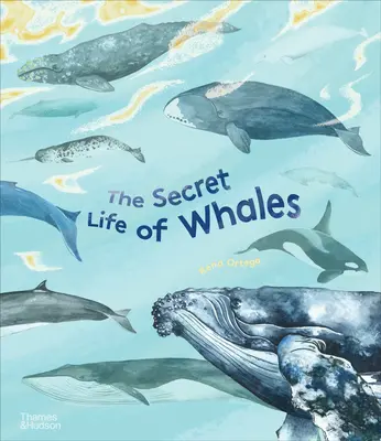 Tajný život veľrýb - The Secret Life of Whales