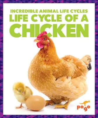 Životný cyklus kurčaťa - Life Cycle of a Chicken