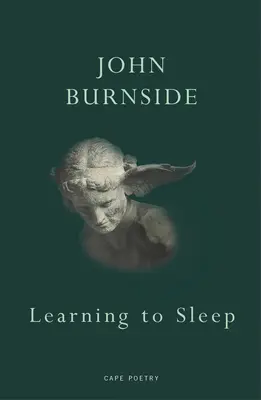 Učiť sa spať - Learning to Sleep