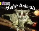 Nočné zvieratá - skupina 03/žltá - Night Animals - Band 03/Yellow