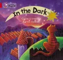 V tme - In the Dark