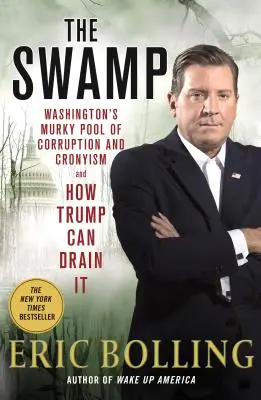 Bažina - Washingtonský kalný bazén korupcie a protekcie a ako ho môže Trump vysušiť - Swamp - Washington's Murky Pool of Corruption and Cronyism and How Trump Can Drain It