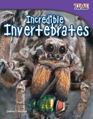Neuveriteľné bezstavovce - Incredible Invertebrates
