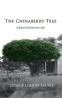 Strom čučoriedok: Román zo života Američanov - The Chinaberry Tree: A Novel of American Life