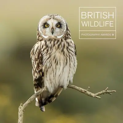 Britské ceny za fotografiu divokej prírody 9 - British Wildlife Photography Awards 9