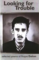 Hľadanie problémov - Looking for Trouble