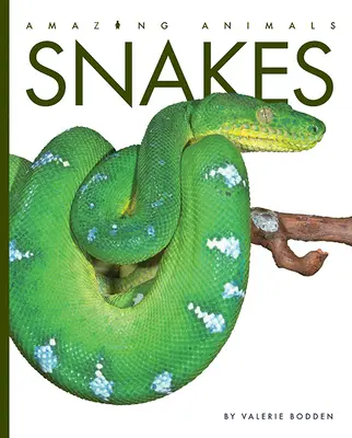 Hady - Snakes