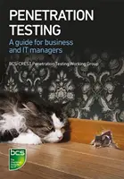 Penetračné testovanie: Príručka pre podnikových a IT manažérov - Penetration Testing: A Guide for Business and It Managers
