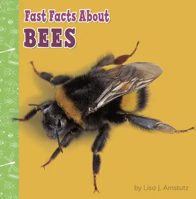 Rýchle fakty o včelách - Fast Facts about Bees