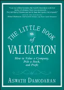 Malá kniha o oceňovaní: Ako oceniť spoločnosť, vybrať si akciu a zarobiť - The Little Book of Valuation: How to Value a Company, Pick a Stock, and Profit