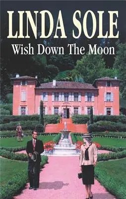 Želanie na Mesiac - Wish Down the Moon