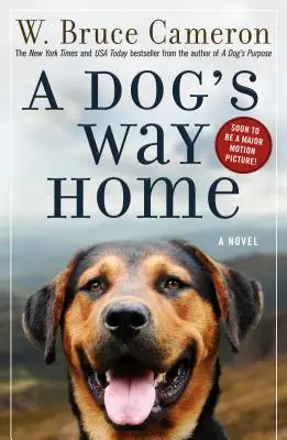 Psia cesta domov - A Dog's Way Home