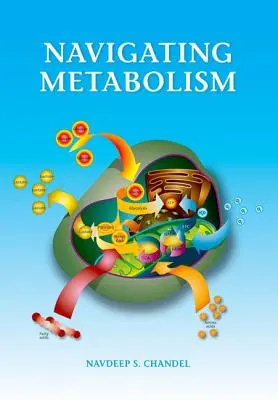 Navigácia v oblasti metabolizmu - Navigating Metabolism