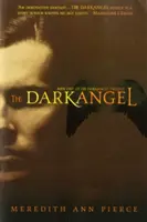 Temný anjel - The Darkangel