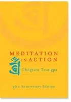 Meditácia v praxi - Meditation in Action