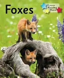 Líšky - Fáza 5 - Foxes - Phonics Phase 5