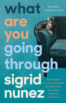 Čím prechádzaš - What Are You Going Through