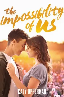 Nemožnosť nás - The Impossibility of Us