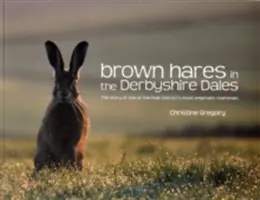 Zajac hnedý v Derbyshire Dales - príbeh jedného z najzáhadnejších cicavcov Peak District - Brown Hares in the Derbyshire Dales - The Story of One of the Peak District's Most Enigmatic Mammals