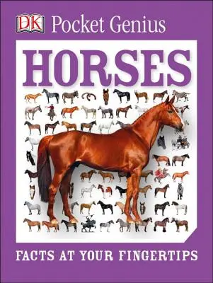 Vreckový génius: Kone: Fakty na dosah ruky - Pocket Genius: Horses: Facts at Your Fingertips