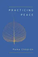 Praktizovanie mieru (Shambhala Pocket Classic) - Practicing Peace (Shambhala Pocket Classic)