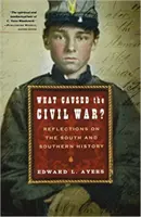 Čo spôsobilo občiansku vojnu? Úvahy o Juhu a južanských dejinách - What Caused the Civil War?: Reflections on the South and Southern History