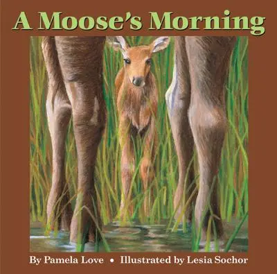 Losie ráno - A Moose's Morning