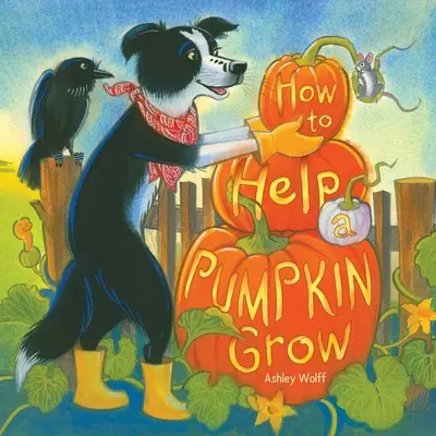 Ako pomôcť tekvici rásť - How to Help a Pumpkin Grow