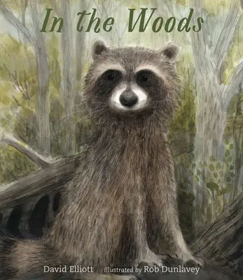 V lese - In the Woods
