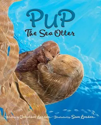 Šteňa morskej vydry - Pup the Sea Otter