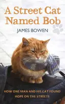 Pouličný kocúr menom Bob - Ako jeden muž a jeho kocúr našli nádej na ulici - Street Cat Named Bob - How one man and his cat found hope on the streets