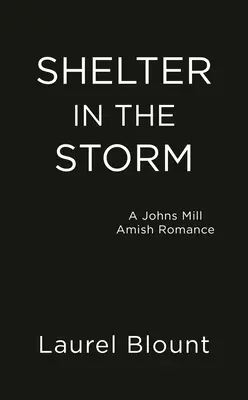 Úkryt v búrke - Shelter in the Storm