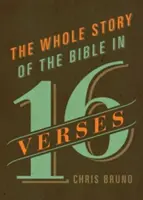 Celý príbeh Biblie v 16 veršoch - The Whole Story of the Bible in 16 Verses