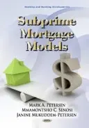 Modely rizikového bankovníctva - Subprime Banking Models