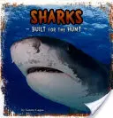 Žraloky - stvorené na lov - Sharks - Built for the Hunt