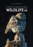 Fotografovanie divokej prírody v Spojenom kráľovstve - kde a ako robiť skvelé fotografie divokej prírody - Photographing Wildlife in the UK - Where and How to Take Great Wildlife Photographs