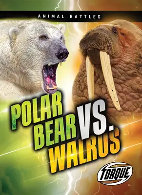 Ľadový medveď vs. mrož - Polar Bear vs. Walrus