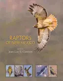 Dravce Nového Mexika - Raptors of New Mexico