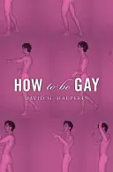 Ako byť homosexuálom - How to Be Gay