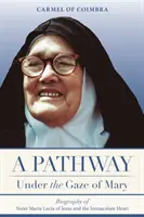 Cesta pod Máriiným pohľadom: Nepoškvrneného Srdca Ježišovho: Životopis sestry Márie Lucie od Ježiša a Nepoškvrneného Srdca - A Pathway under the Gaze of Mary: Biography of Sister Maria Lucia of Jesus and the Immaculate Heart