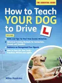 Ako naučiť svojho psa šoférovať - How to Teach your Dog to Drive