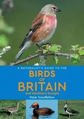 Príručka prírodovedca o vtákoch Británie a severnej Európy - A Naturalist's Guide to the Birds of Britain & Northern Europe