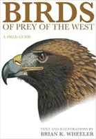 Dravé vtáky Západu: Terénny sprievodca - Birds of Prey of the West: A Field Guide