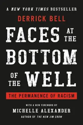 Tváre na dne studne: Trvalosť rasizmu - Faces at the Bottom of the Well: The Permanence of Racism