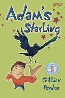 Adamov špaček - Adam's Starling