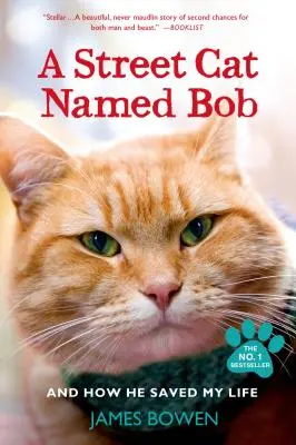 Pouličný kocúr menom Bob a ako mi zachránil život - A Street Cat Named Bob and How He Saved My Life